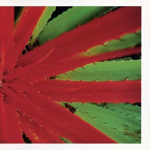 Jejune - This Afternoons Malady  LP LP